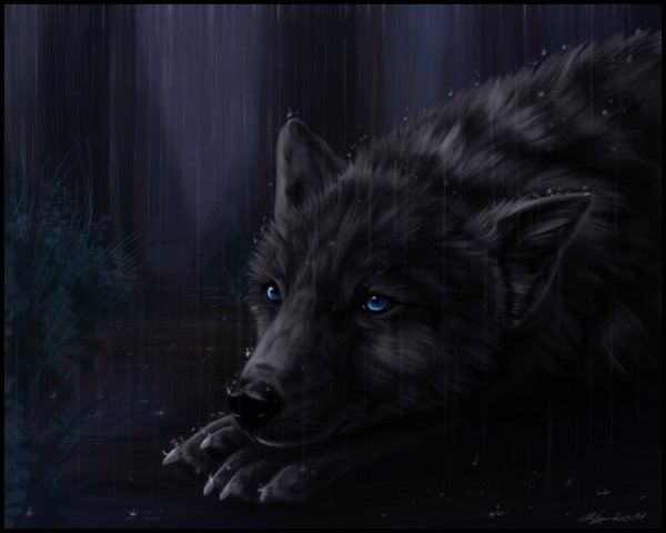 Грустный волк