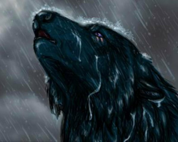 Плачущий волк