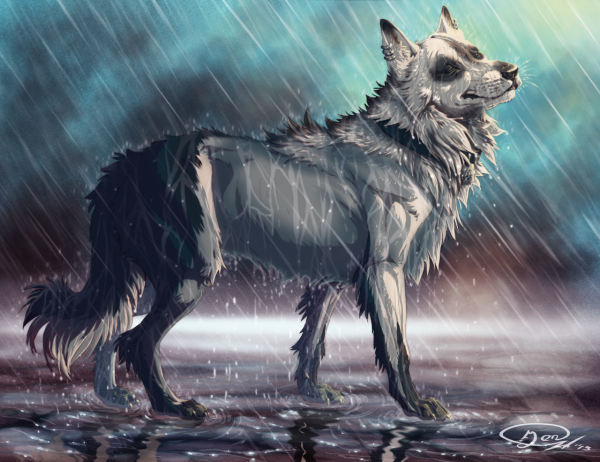 Грустный волк арт