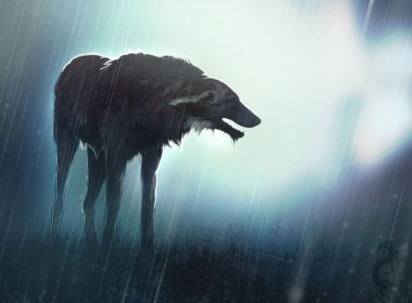 Гигантский пес арт