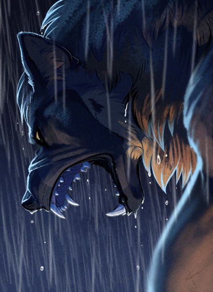 Оборотни Волчий дождь Art