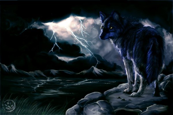 Волк в ночи
