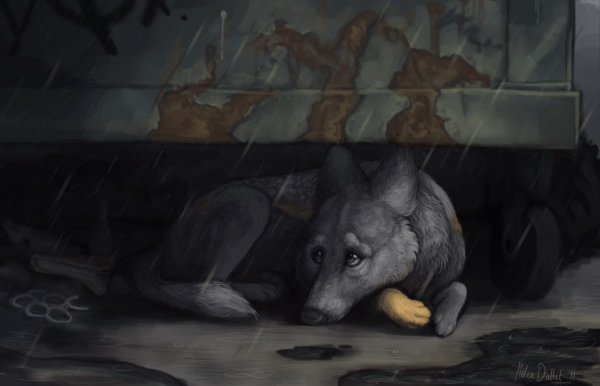 Собака грустно арт