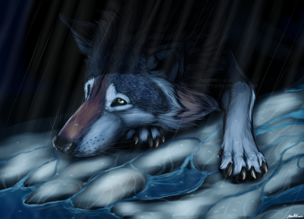 Плачущий волк