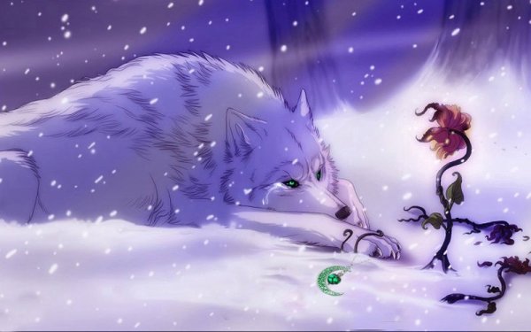 Белый волк Волчий дождь арт