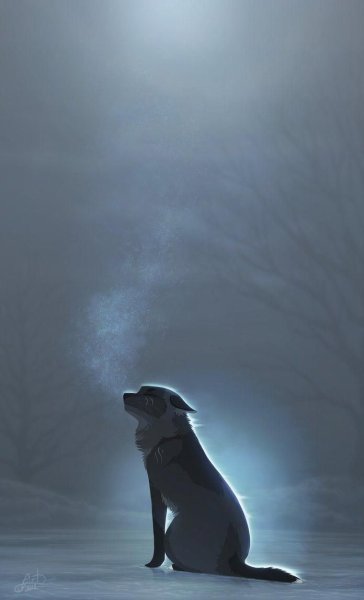 Печальный волк