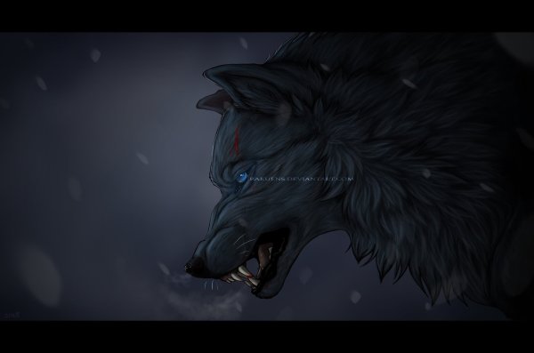 Грустный волк под дождем