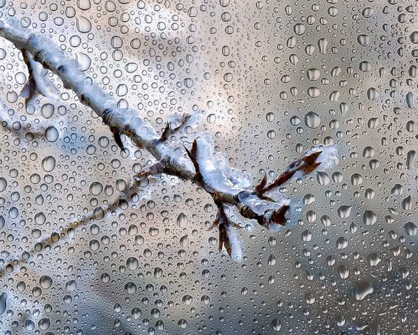 Замерзающий дождь