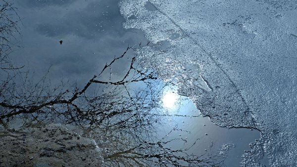 Отражение в луже