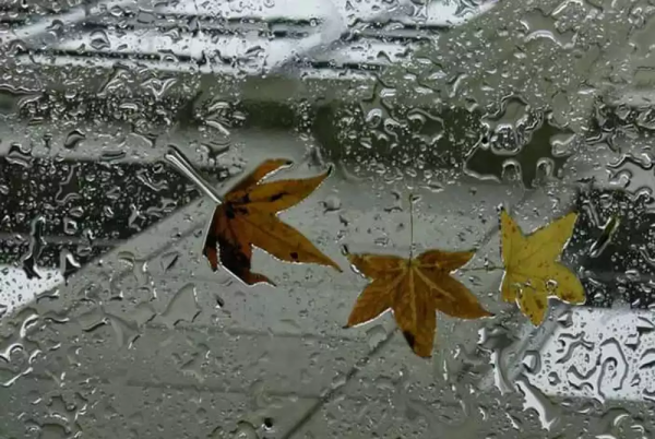 Дождливая осень анимация