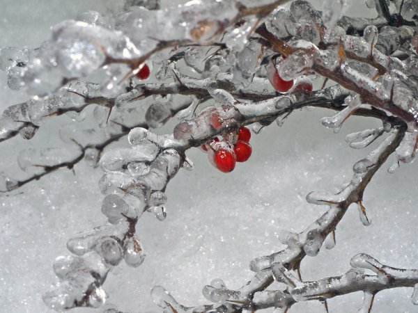 Ледяной дождь зимой