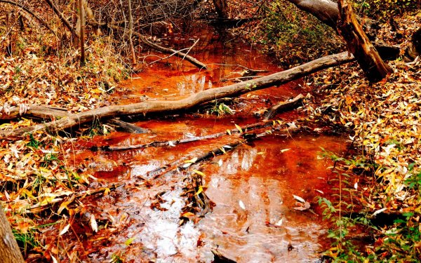 Кислотные дожди