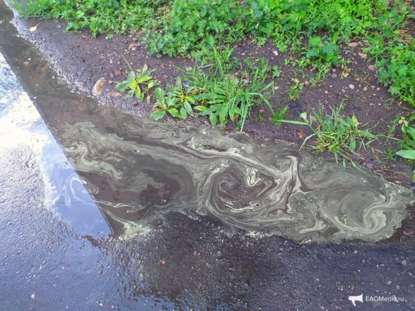 Кислотный дождь лужи