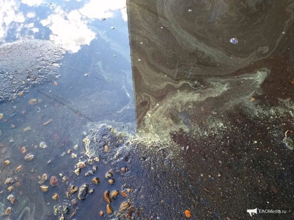 Лужи после кислотного дождя