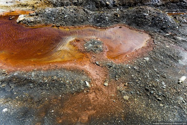 Кислотные дожди почва