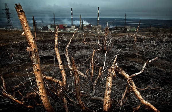 Умирающие растения