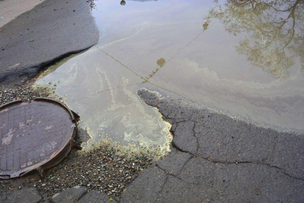 Кислотный дождь лужи