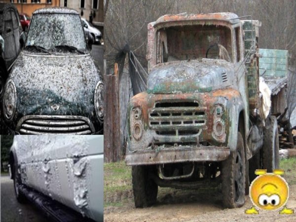 Последствия кислотных дождей в технике