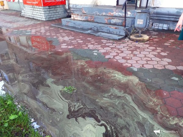 Лужи после кислотного дождя