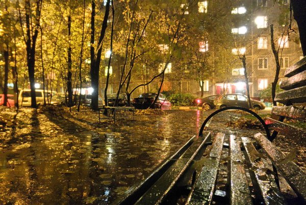 Осень дождь