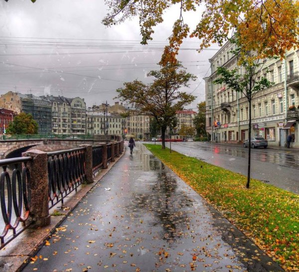Набережная реки Карповки Санкт-Петербурге осенью