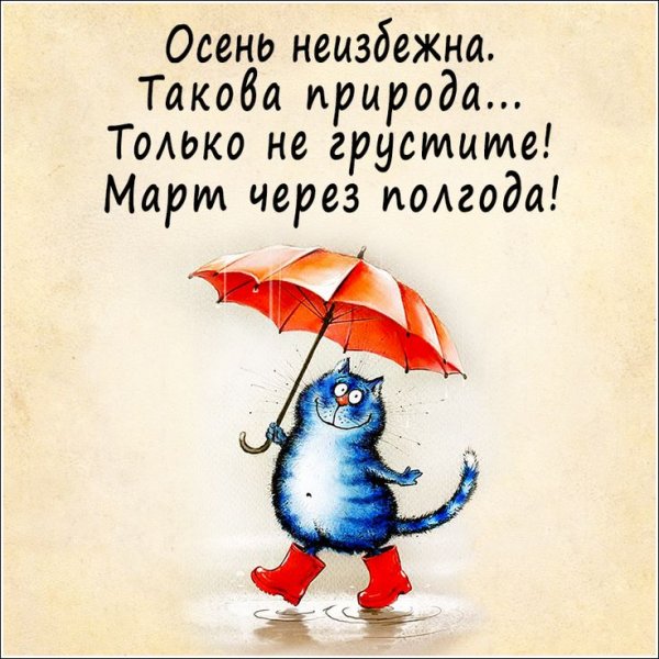 Осеннее настроение цитаты прикольные