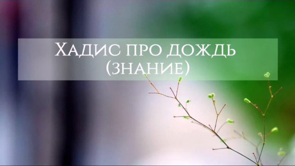 Дождь в Исламе