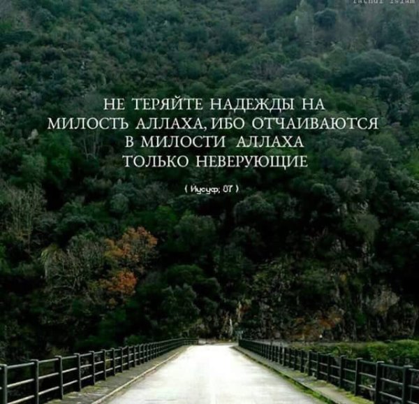 Никогда не отчаивайтесть в миллсть ВСЕАЫШНЕГО