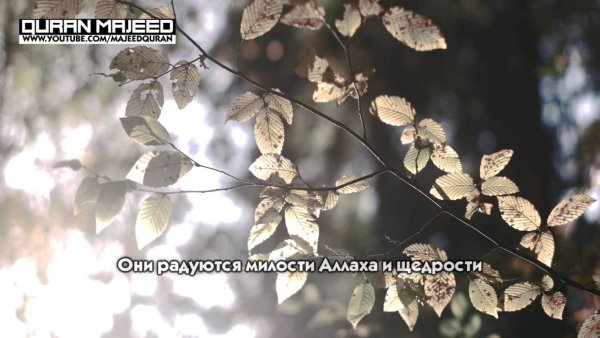 Дождь это милость Аллаха