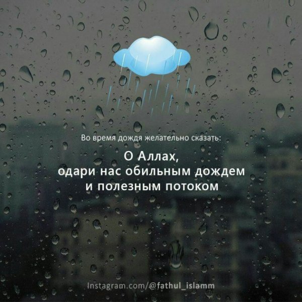 Цитаты про дождь