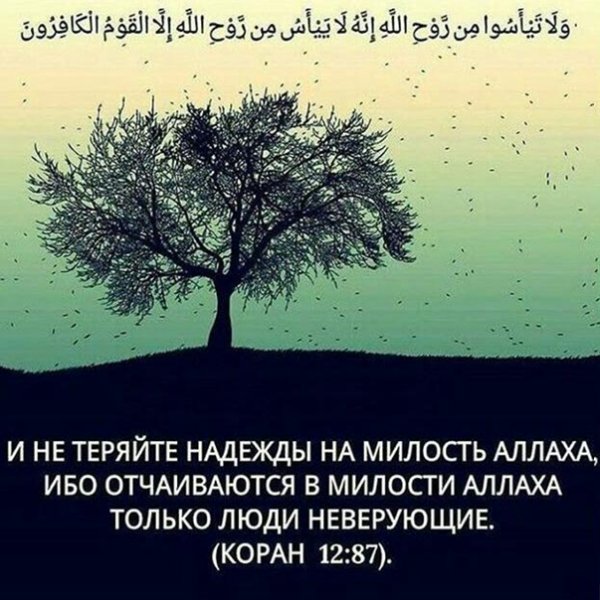 Милость Аллаха