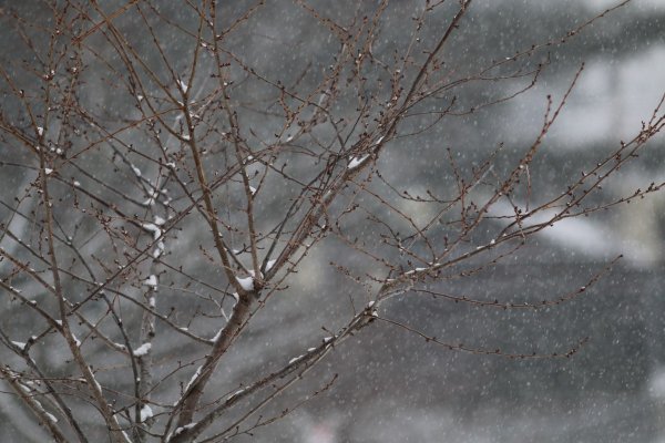 Снег с дождем