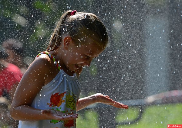 Летний дождь