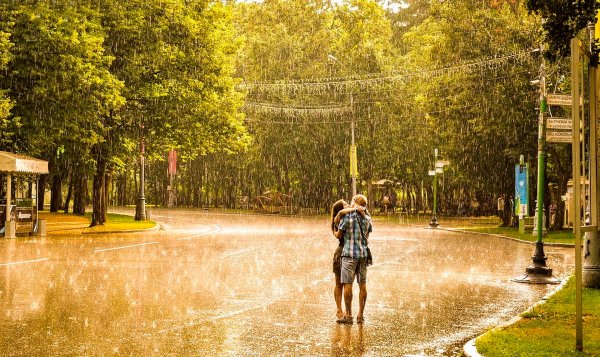 Летний дождь