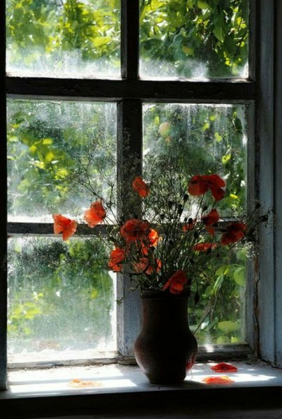 Окно с цветами на подоконнике