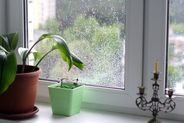 Капли дождя на подоконнике