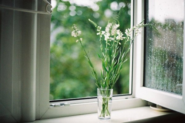 Пластиковые окна Весна