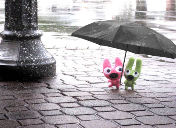 Для поднятия настроения в дождливую погоду