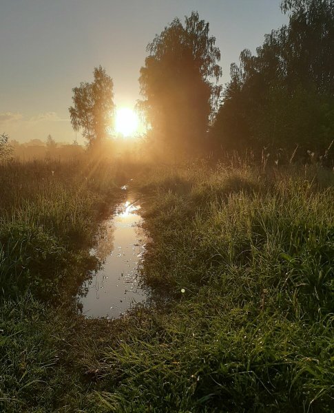 Вечер после дождя