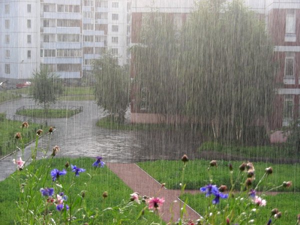 Дождь летом во дворе