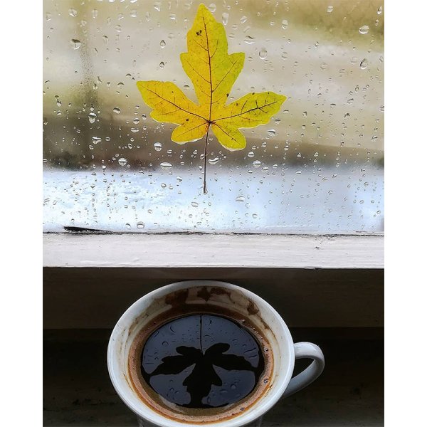 Осенний дождь на окне