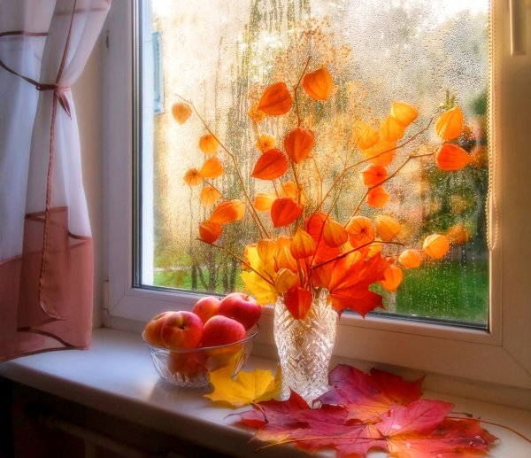 Осень за окном