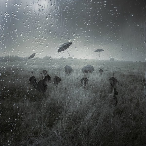 Поле под дождем