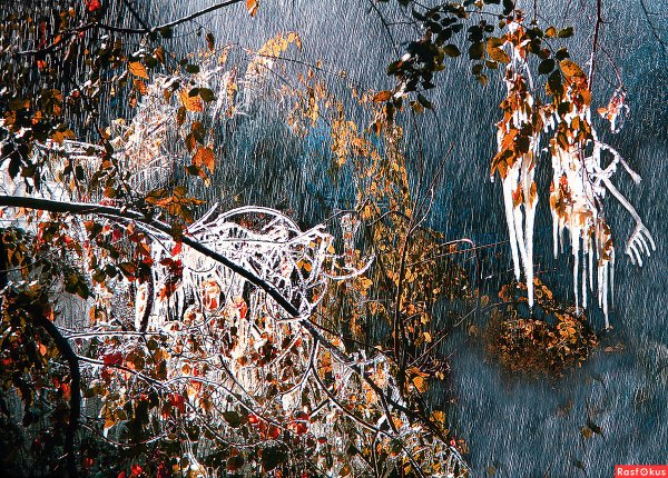 Осенний дождь фото