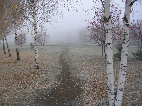 Поздняя осень