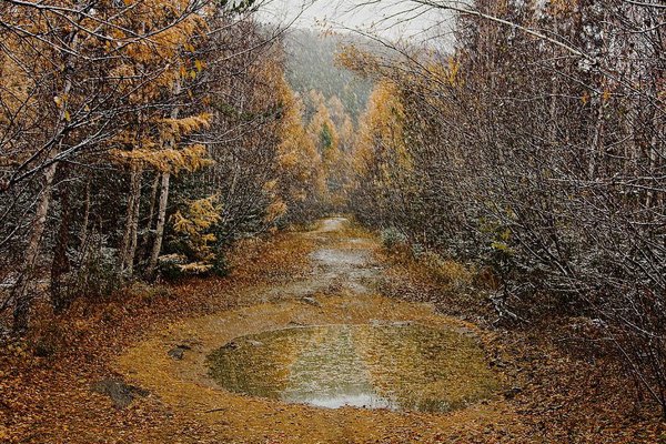 Осеннее ненастье