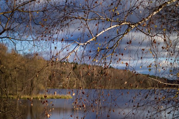 Картинки с поздней осенью