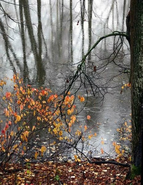 Холодная осень