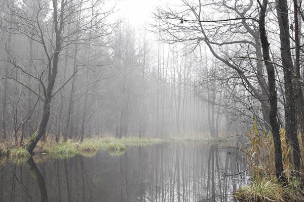 Поздняя осень дождь