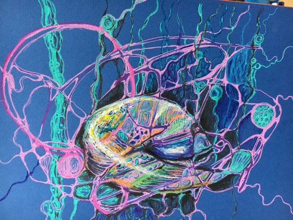 Шаманский дождь Нейрографика алгоритм